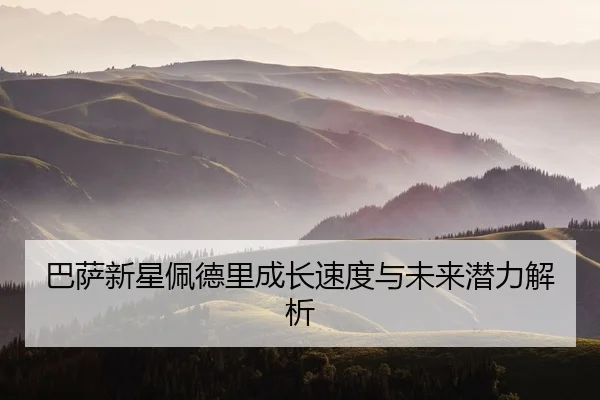 ba-sa-xin-xing-pei-de-li-cheng-zhang-su-du-yu-wei-lai-qian-li-jie-xi-2-519.jpg